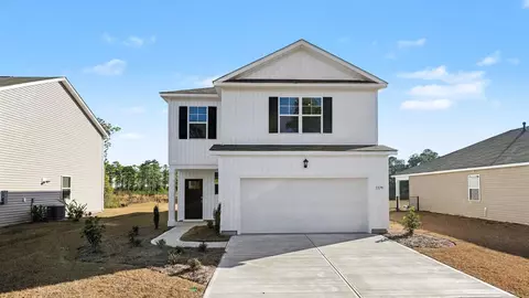 256 Red Buckeye Dr, Conway, SC 29527