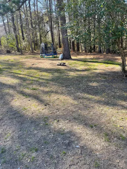 tbd Lomax Ct, Murrells Inlet, SC 29576