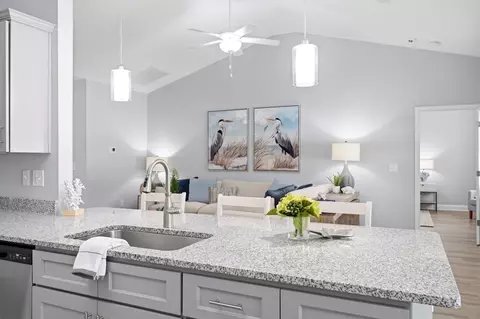 Kitchen - 808 Twickenham Loop, Longs, SC 29568 photo 5 of 6