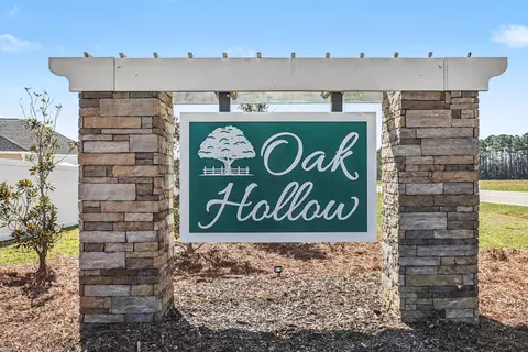 View/Area - 314 Box Elder Way, Longs, SC 29568 photo 1 of 1