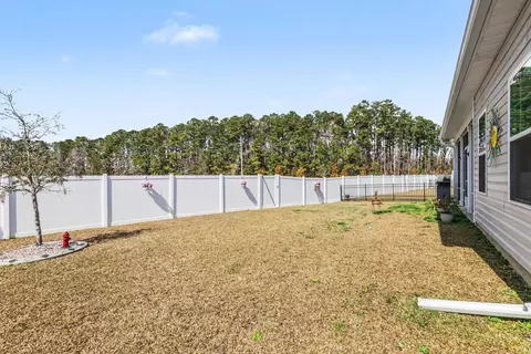 Exterior - 314 Box Elder Way, Longs, SC 29568 photo 7 of 9