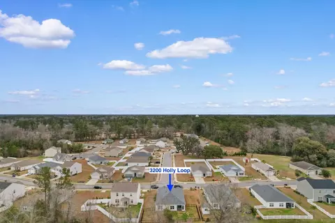 View/Area - 3200 Holly Loop, Conway, SC 29527 photo 1 of 6