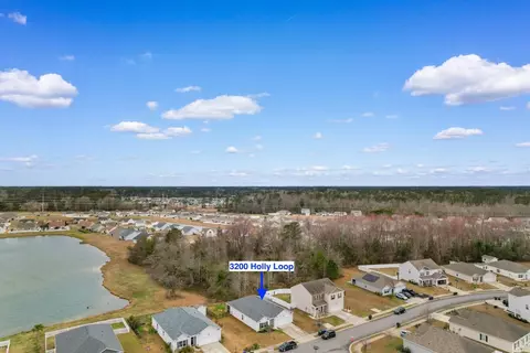View/Area - 3200 Holly Loop, Conway, SC 29527 photo 4 of 6