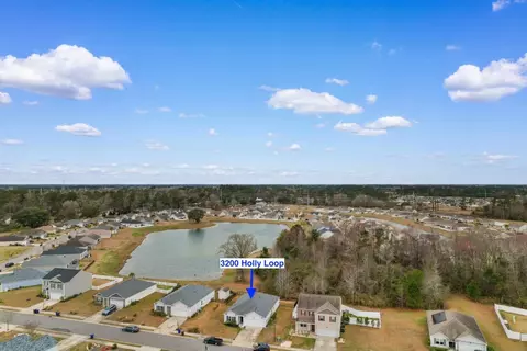 View/Area - 3200 Holly Loop, Conway, SC 29527 photo 3 of 6