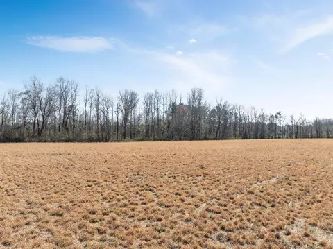 lot4 Sheila Dr, Johnsonville, SC 29555