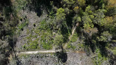 16 E 62acres-tbd E Bay Rd, Gresham, SC 29546 photo 18