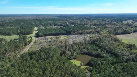 16 E 62acres-tbd E Bay Rd, Gresham, SC 29546 photo 7