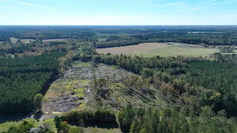 16 E 62acres-tbd E Bay Rd, Gresham, SC 29546 photo 4
