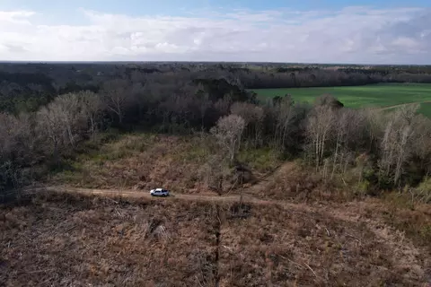 16 E 62acres-tbd E Bay Rd, Gresham, SC 29546 photo 27