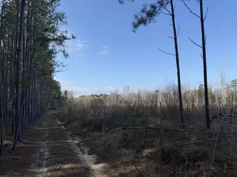 16 E 62acres-tbd E Bay Rd, Gresham, SC 29546 photo 29