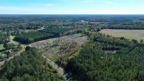 16 E 62acres-tbd E Bay Rd, Gresham, SC 29546 photo 6