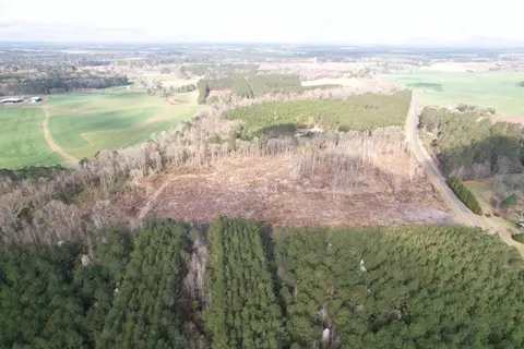 16 E 62acres-tbd E Bay Rd, Gresham, SC 29546 photo 23