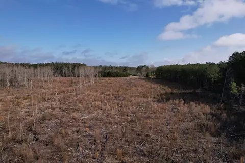 16 E 62acres-tbd E Bay Rd, Gresham, SC 29546 photo 25