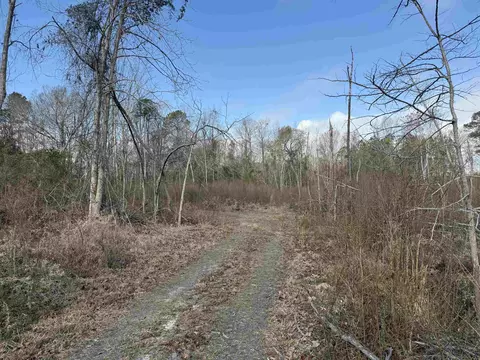 16 E 62acres-tbd E Bay Rd, Gresham, SC 29546 photo 28