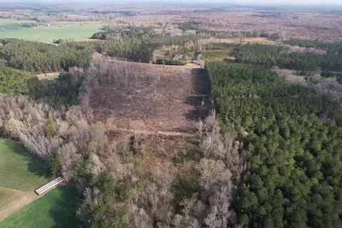 16 E 62acres-tbd E Bay Rd, Gresham, SC 29546 photo 20