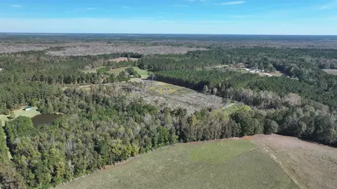 16 E 62acres-tbd E Bay Rd, Gresham, SC 29546 photo 8