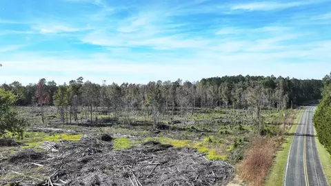 16 E 62acres-tbd E Bay Rd, Gresham, SC 29546 photo 13