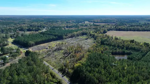 16 E 62acres-tbd E Bay Rd, Gresham, SC 29546 photo 5