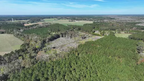 16 E 62acres-tbd E Bay Rd, Gresham, SC 29546 photo 10