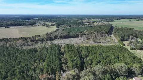 16 E 62acres-tbd E Bay Rd, Gresham, SC 29546 photo 11