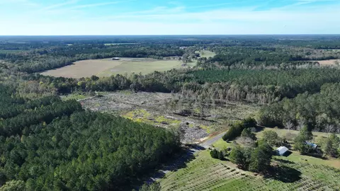 16 E 62acres-tbd E Bay Rd, Gresham, SC 29546 photo 12