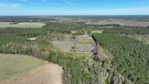 16 E 62acres-tbd E Bay Rd, Gresham, SC 29546 photo 9