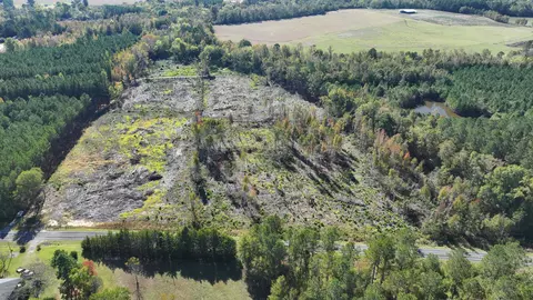 16 E 62acres-tbd E Bay Rd, Gresham, SC 29546 photo 2