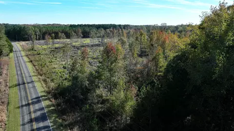 16 E 62acres-tbd E Bay Rd, Gresham, SC 29546 photo 14