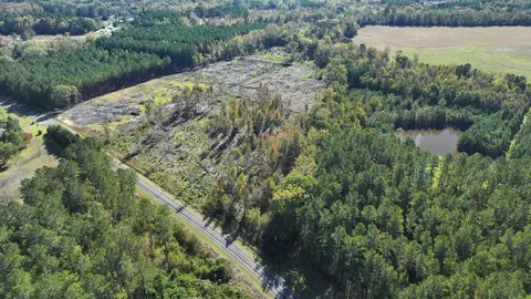16 E 62acres-tbd E Bay Rd, Gresham, SC 29546