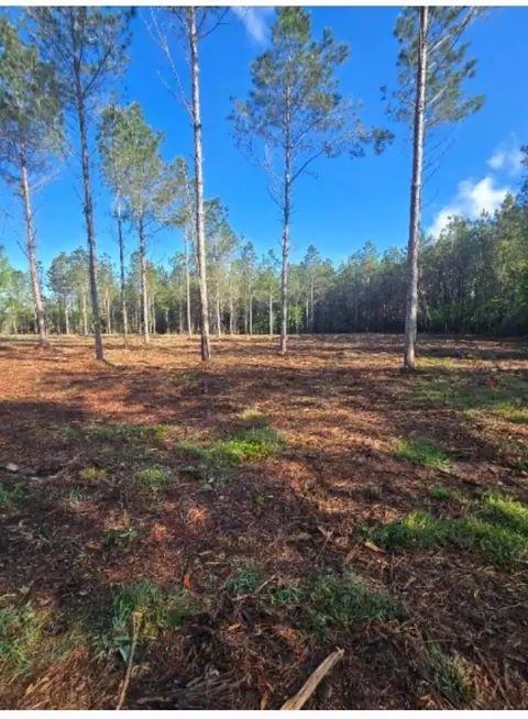 1513 Oakdale Rd, Loris, SC 29569