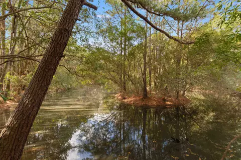 View/Area - 402 Wilkinson St, Georgetown, SC 29440 photo 1 of 9
