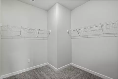 Other - 205 Evergreen St, Longs, SC 29568 photo 5 of 5