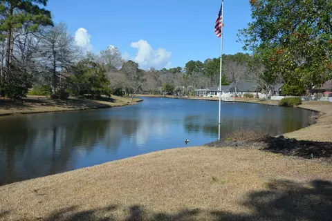 View/Area - 403 Lumber River Rd, Myrtle Beach, SC 29588 photo 1 of 10