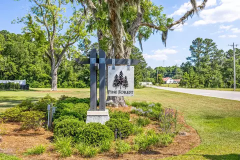 View/Area - 142 Pine Forest Dr, Conway, SC 29526 photo 1 of 1