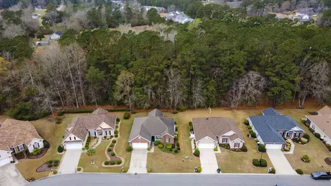 View/Area - 749 Ashley Manor Dr, Longs, SC 29568 photo 2 of 10