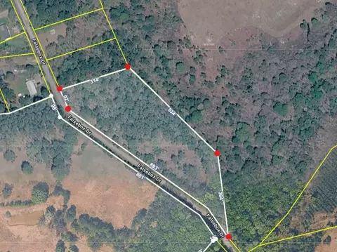 tbd Falsebox Dr, Hemingway, SC 29554