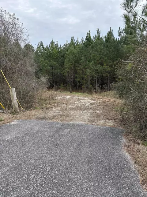 tbd Turkey Pen Rd, Longs, SC 29568 photo 3