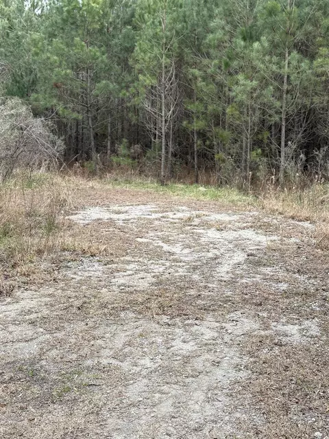tbd Turkey Pen Rd, Longs, SC 29568 photo 4