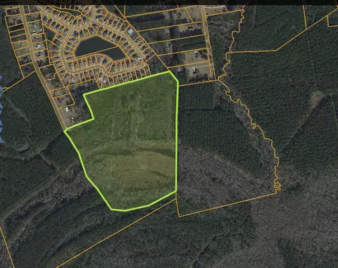 tbd Turkey Pen Rd, Longs, SC 29568 photo 2