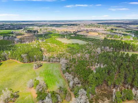 tbd Muddy Creek Rd, Johnsonville, SC 29555