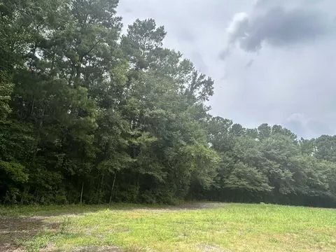 tbd Johnson Rd, Galivants Ferry, SC 29544