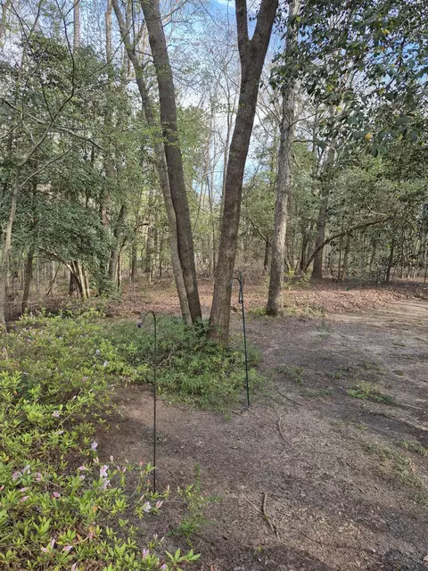 700 Steerfork Dr, Florence, SC 29501 photo 8