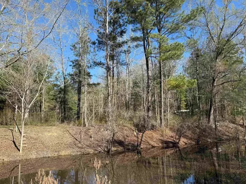 tbd Locust Tree Ct, Gresham, SC 29546 photo 2