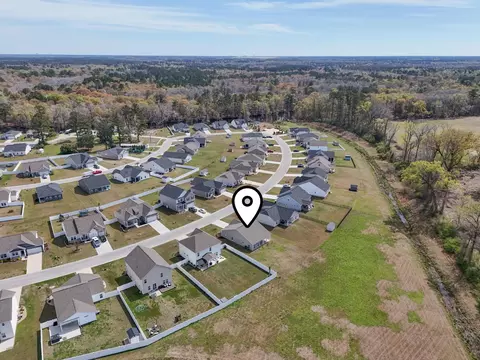 View/Area - 464 Honeyhill Loop, Conway, SC 29526 photo 7 of 10