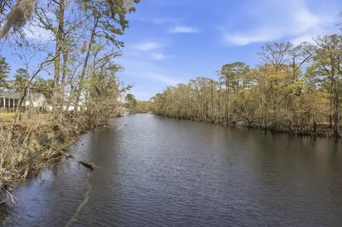 View/Area - 464 Honeyhill Loop, Conway, SC 29526 photo 8 of 10
