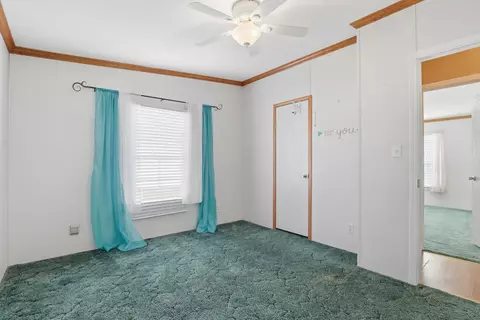 335 Bright Leaf Rd, Loris, SC 29569 photo 20