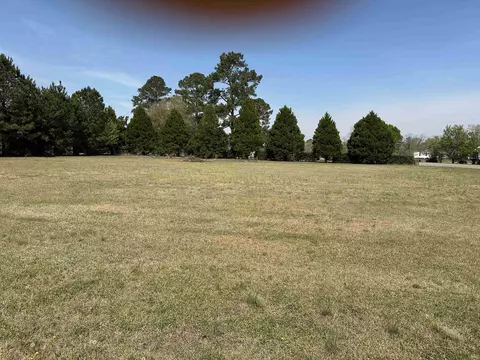 100 Ole Nobleman Ct, Conway, SC 29527