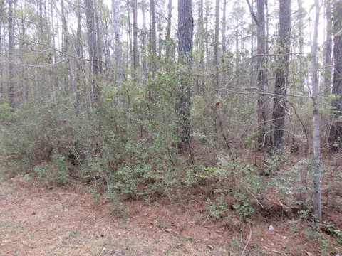 T.b.d. Finnell Rd., Little River, SC 29566
