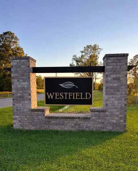 View/Area - 174 Westfield Cir, Conway, SC 29526 photo 3 of 8