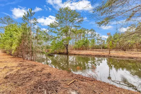 3930 Red Bluff Rd, Loris, SC 29569 photo 5